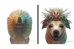 Kutyaportrék másképp: szürreális alkotások a gazdátlan kutyák segítéséért