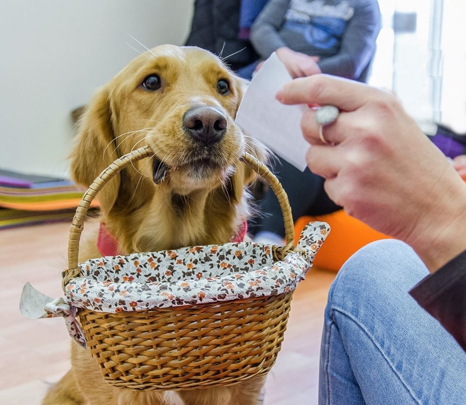 Önismereti tréning, terápiás kutyákkal Békéscsabán