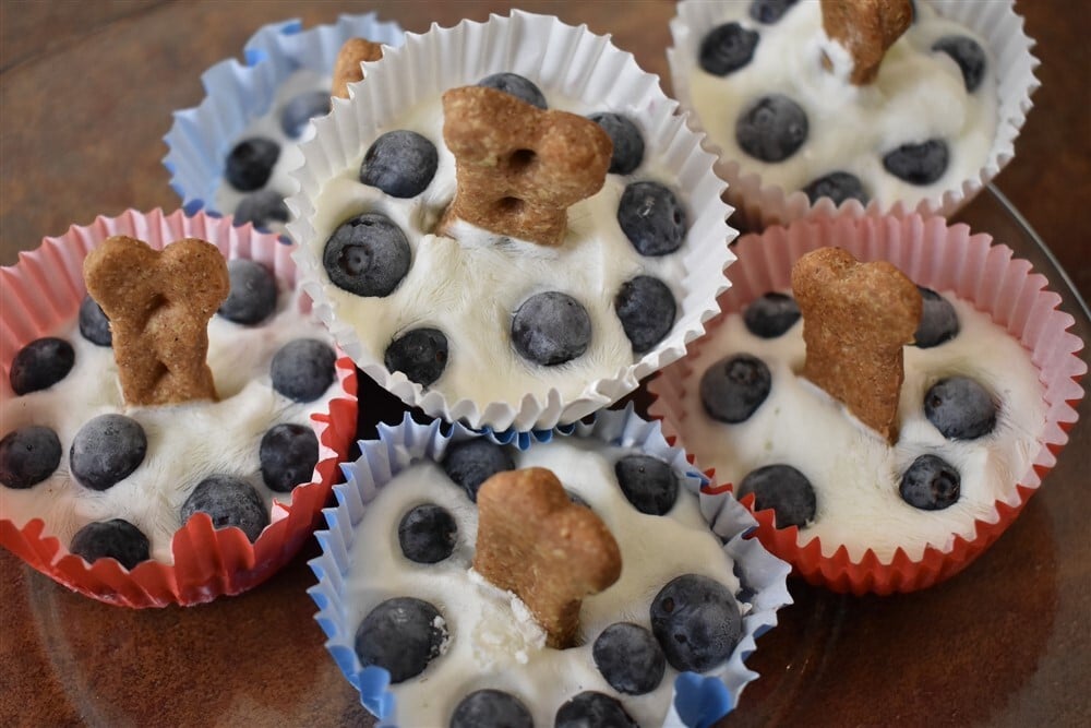 Hűsítő finomság, jégkrém kutyáknak - Gyümölcsök-kekszes muffin