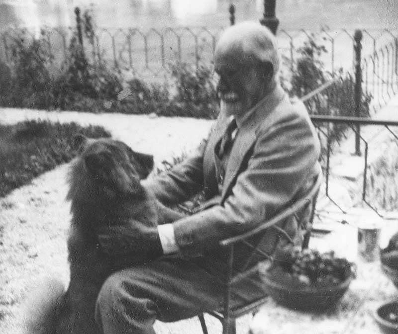 Freud és kutyája - egy életre szóló barátság