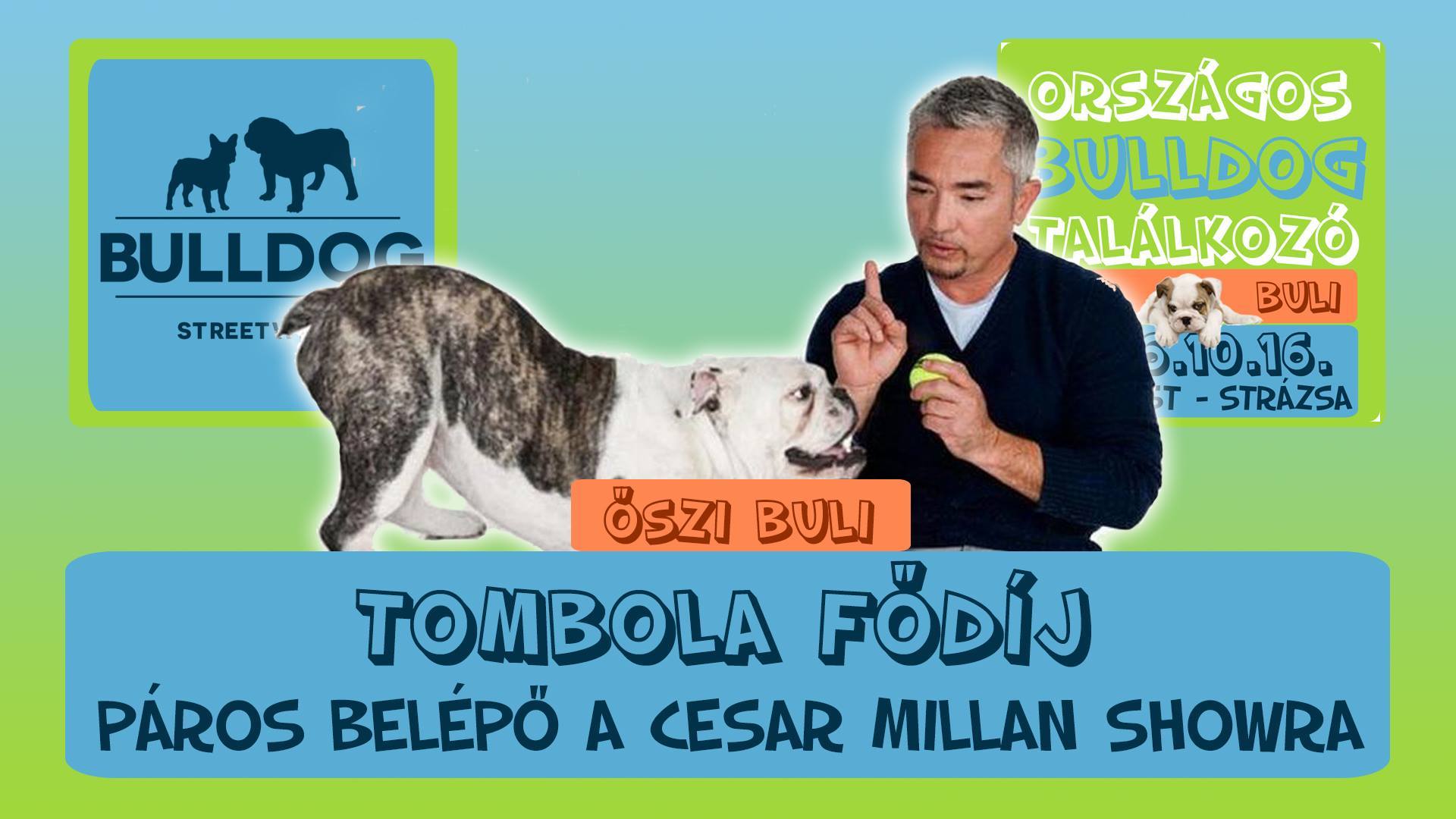 Az őszi bulldog találkozó tombolának fődíja: páros belépőjegy a Cesar Millan Live-ra!