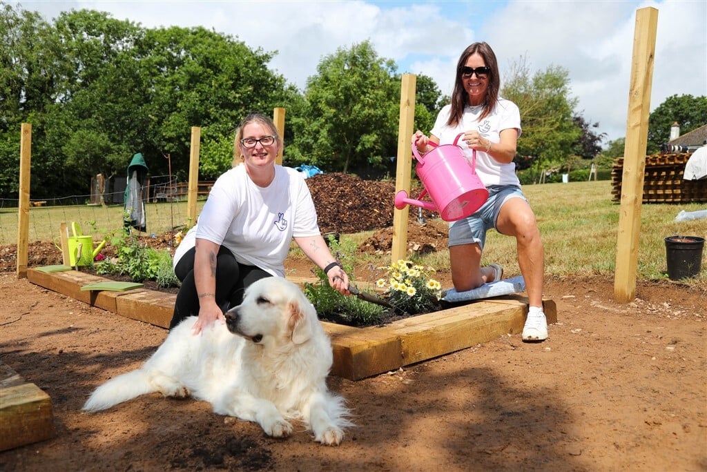 Játszótér és gyógynövényes kert épült a menhelyi kutyáknak