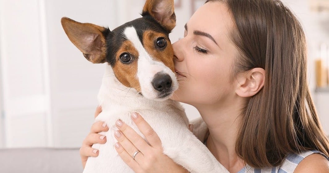 Érti a kutya az emberi puszit, és ha igen, vajon szereti