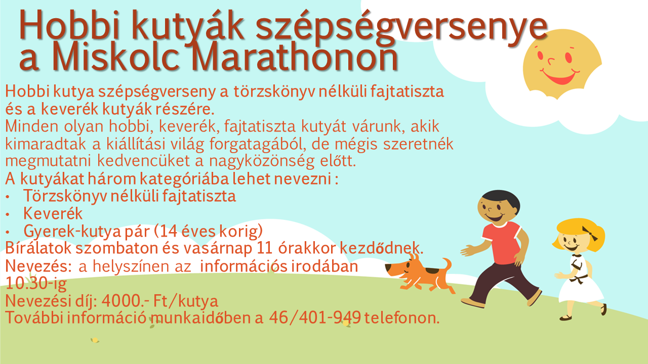 Hobbi kutyák szépségversenye a Miskolc Marathonon