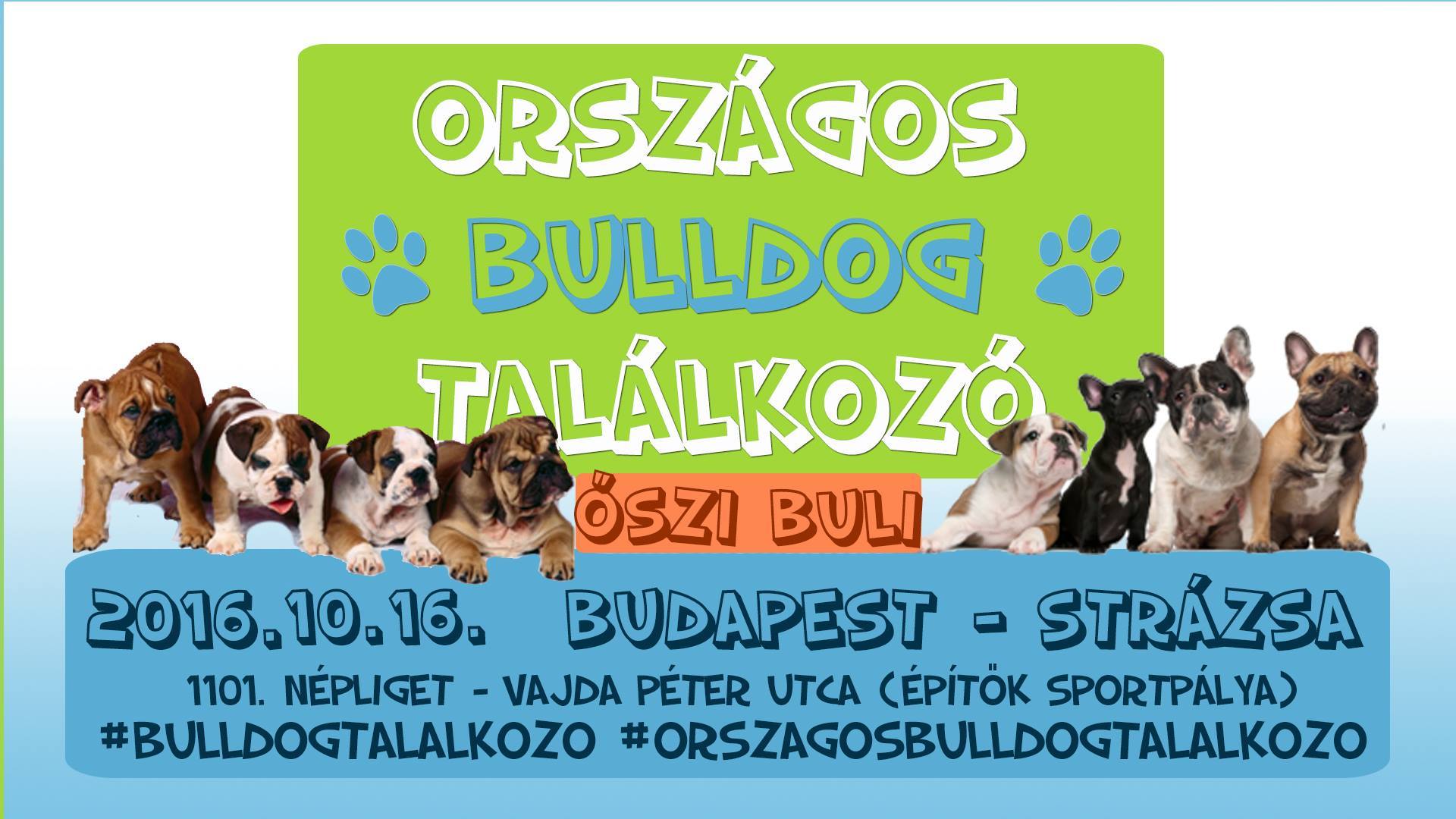 Országos Bulldog Találkozó - A nagy őszi bulldog buli