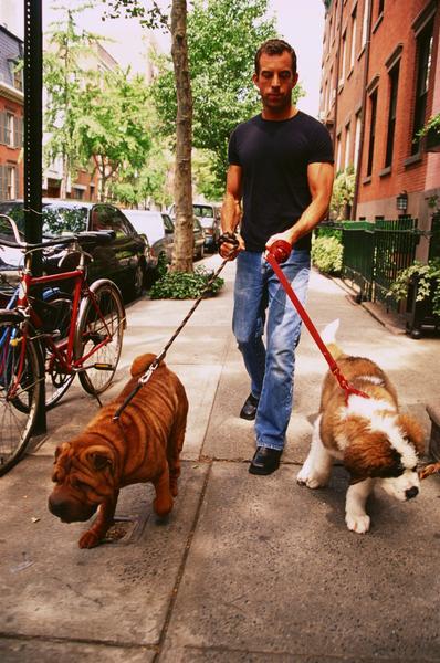 A biztonságos sétáltatás eszköze a póráz Forrás: http://dogcare.dailypuppy.com/