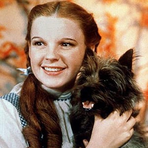 Toto ( Terry) és Judy Garland
