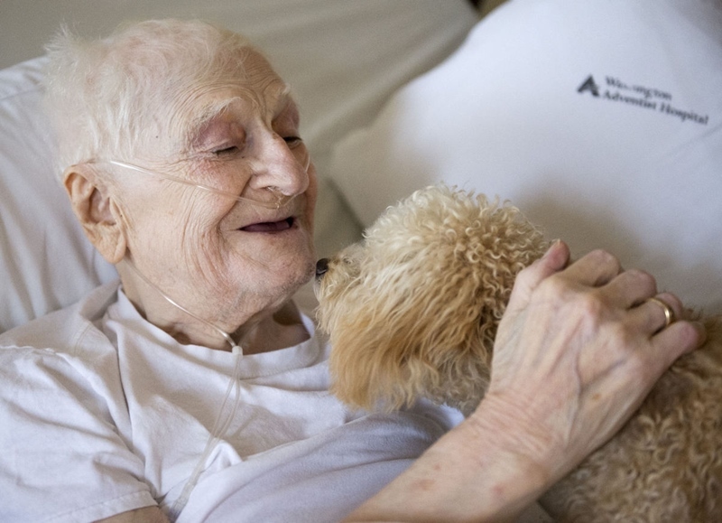 Életük végéhez közeledve is mosolyt csalnak a betegek arcára a kutyák