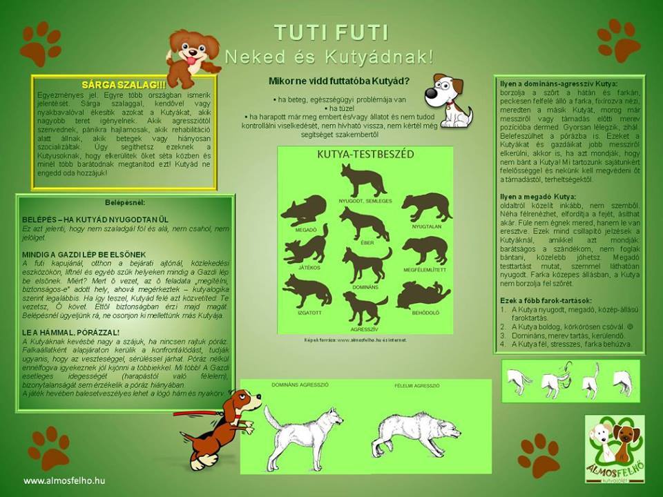 Tuti Futi - a kutyafuttatók házirendje