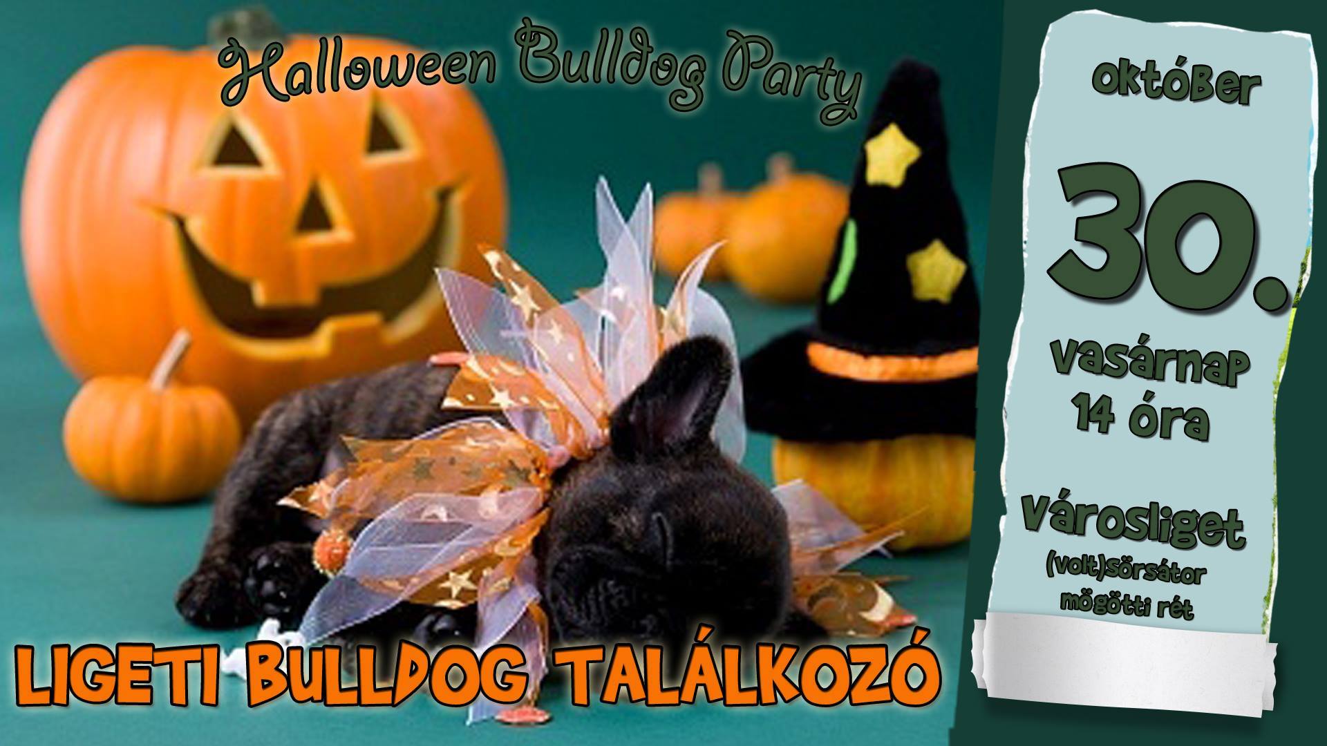 Halloween Ligeti Bulldog Party