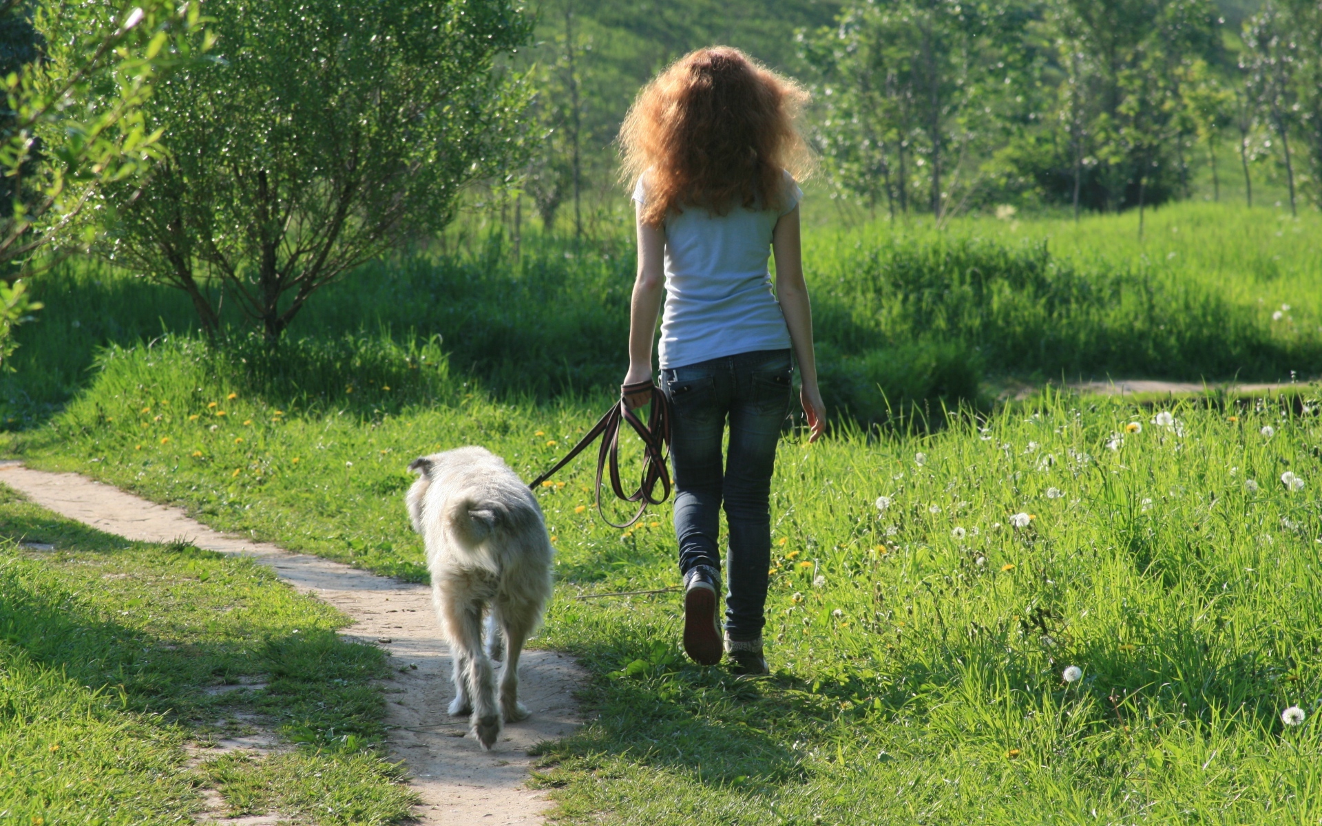 Kutyasétáltatás az erdőben: csak pórázon!