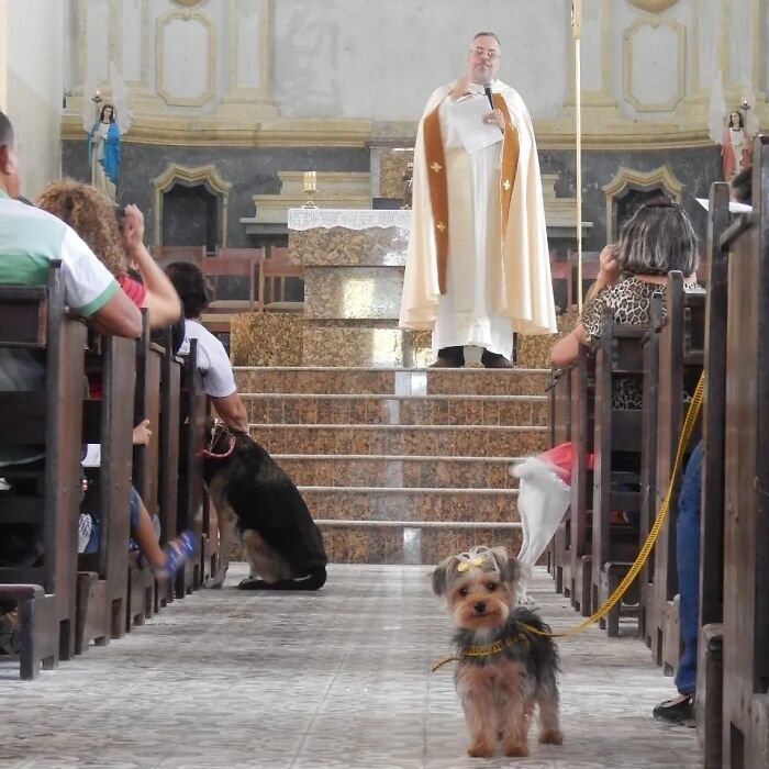 Paulo atya miséit kutyával is lehet látogatni