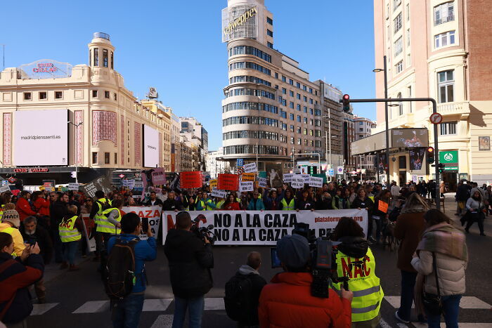 Állatbarátok és állatjogi aktivisták ezrei vonultak utcára Madridban