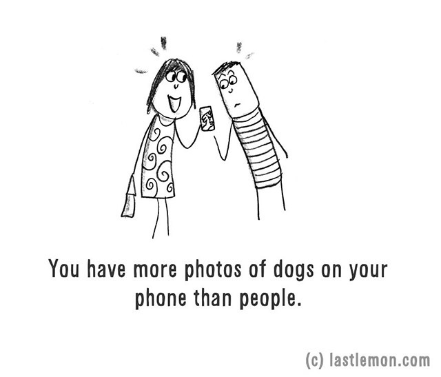 A telefonod a kutyád fotóival van tele, igaz?