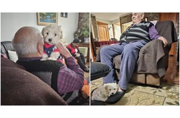 Megfiatalodott a 96 éves nagypapa, miután egy kicsi kölyökkutya belépett az életébe