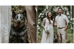 Ennek a kutyusnak hála igazán vidámra sikeredett az esküvői fotózás