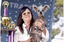 Egy különleges szépségverseny – Íme 2023 legcsúnyább kutyái