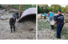 Szívszorító mentés Csévharaszton: láncon tartott, éhező kutyákat mentettek 