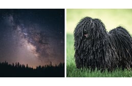 Kutyáink a csillagok között: Magyar kutyafajták nevét kapta egy exobolygórendszer