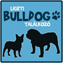  Lubickol a bulldogom - Dorogi-tó Vízparty