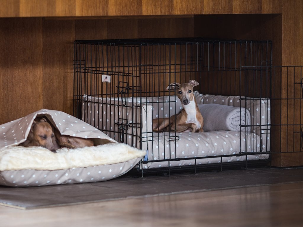 Kényelmes fekhely a szobaketrecben - a kutya is értékelni fogja