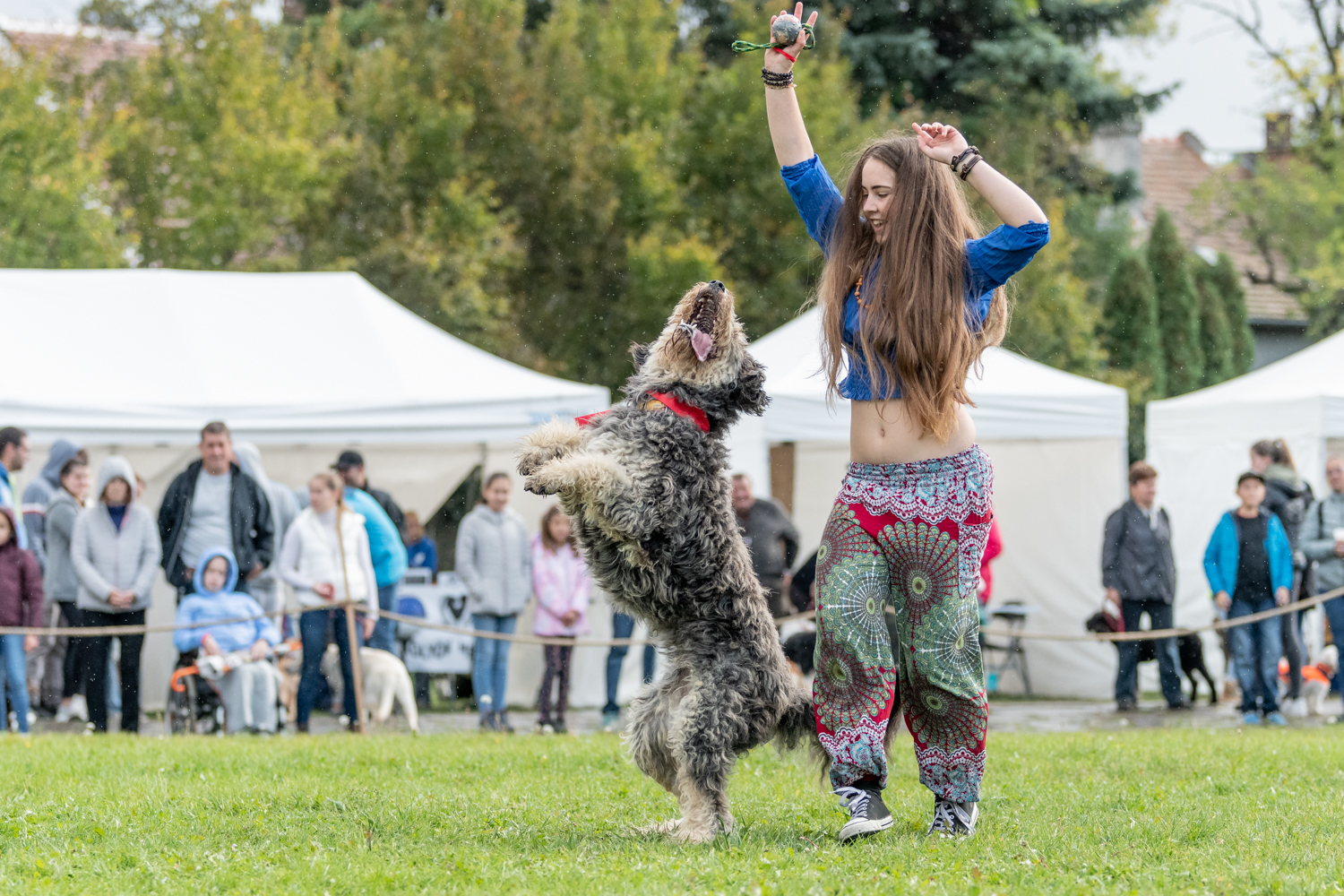 Varga Katalin dog dancing bemutatója