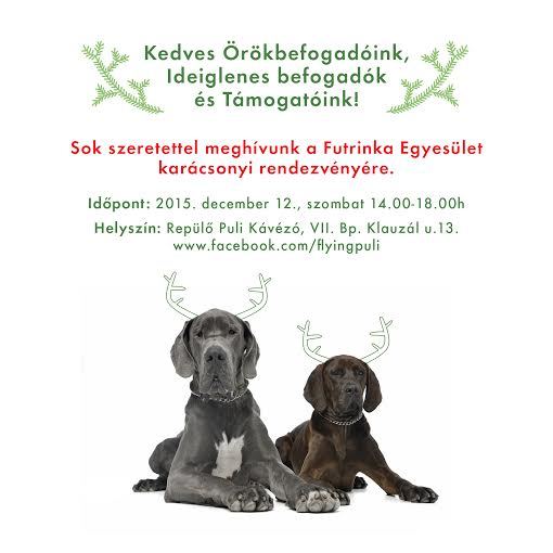  Karácsony a Futrinka Egyesülettel 2015