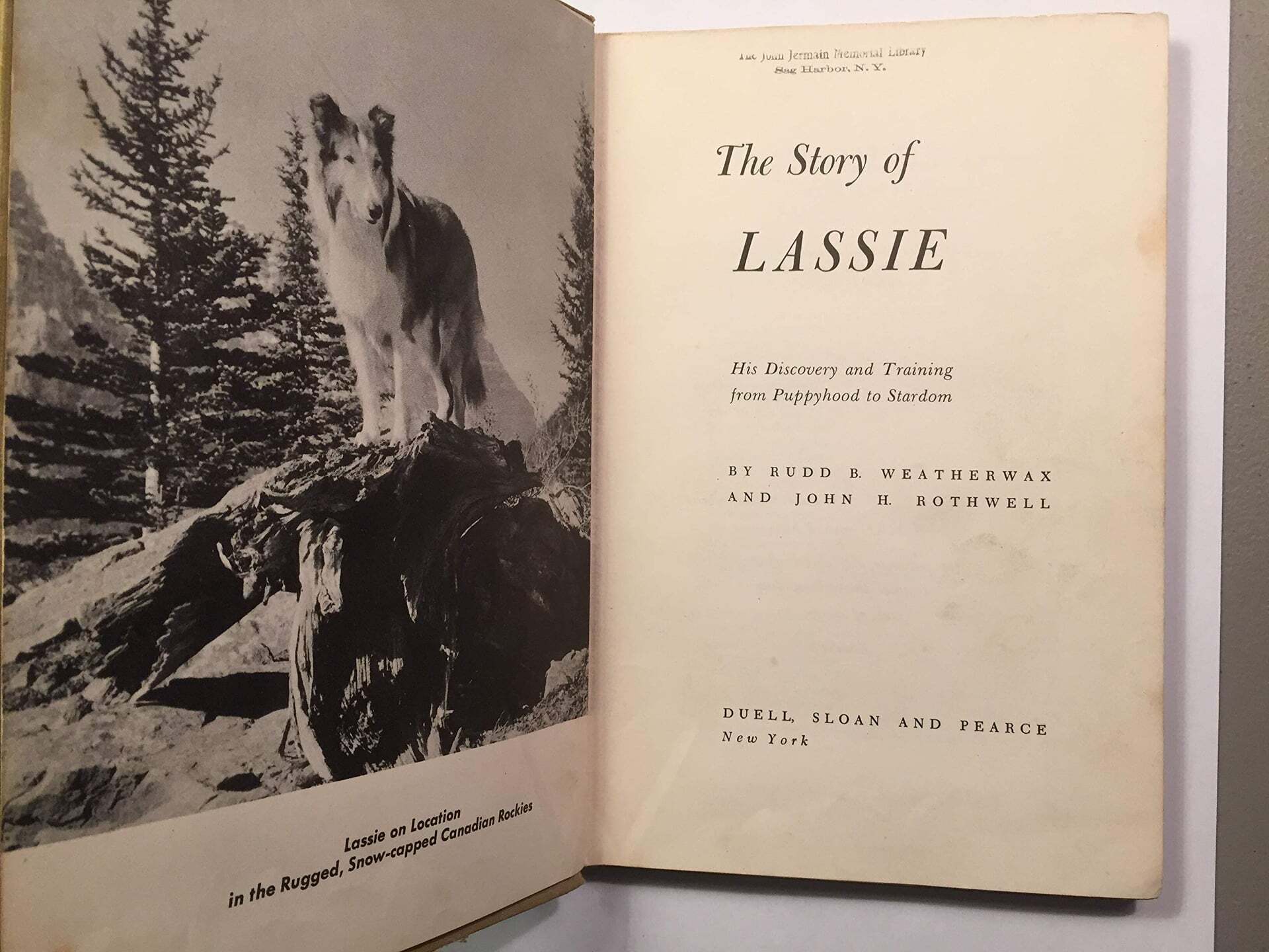 A filmbéli Lassie és Pal története gazdája, Rudd Weatherwax tollából