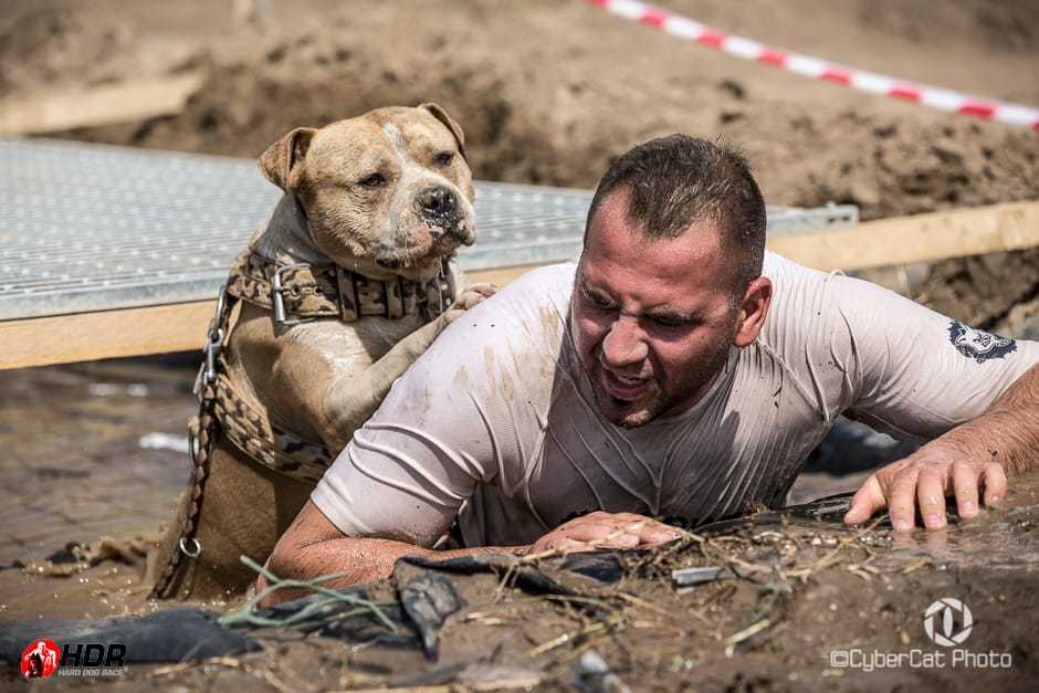 Lengyelországban sem lesz könnyű dolga a kutya-gazda párosoknak