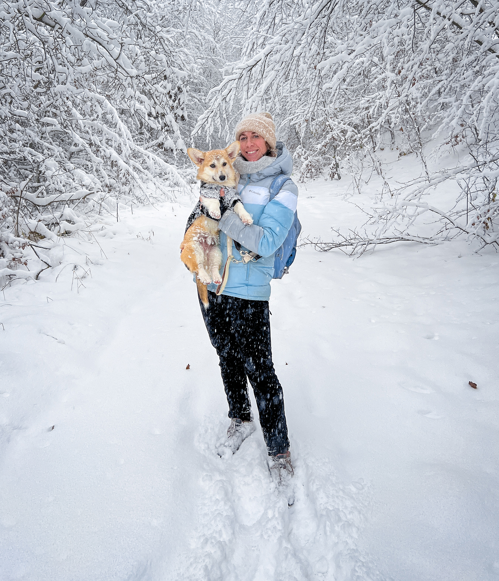 December eljöttét a hó köszöntötte és szerencsére nekünk is volt benne részünk kutyáinkkal
