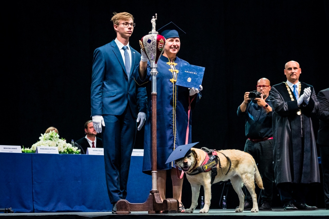 Gesztenye, a labrador is diplomát kapott gazdijával