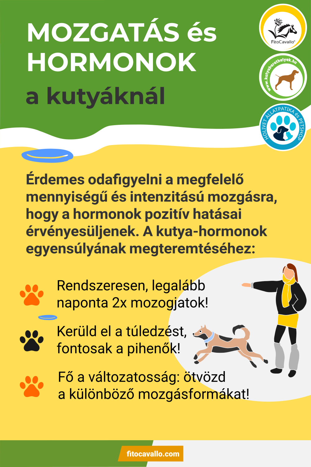 Mozgáshiány okozta nyugtalanság és alvászavar kutyáknál - Mozgatás és a hormonok
