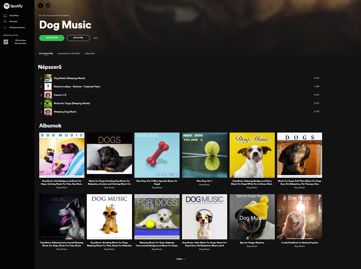 Kutyák számára készített zenei listákat a Spotify