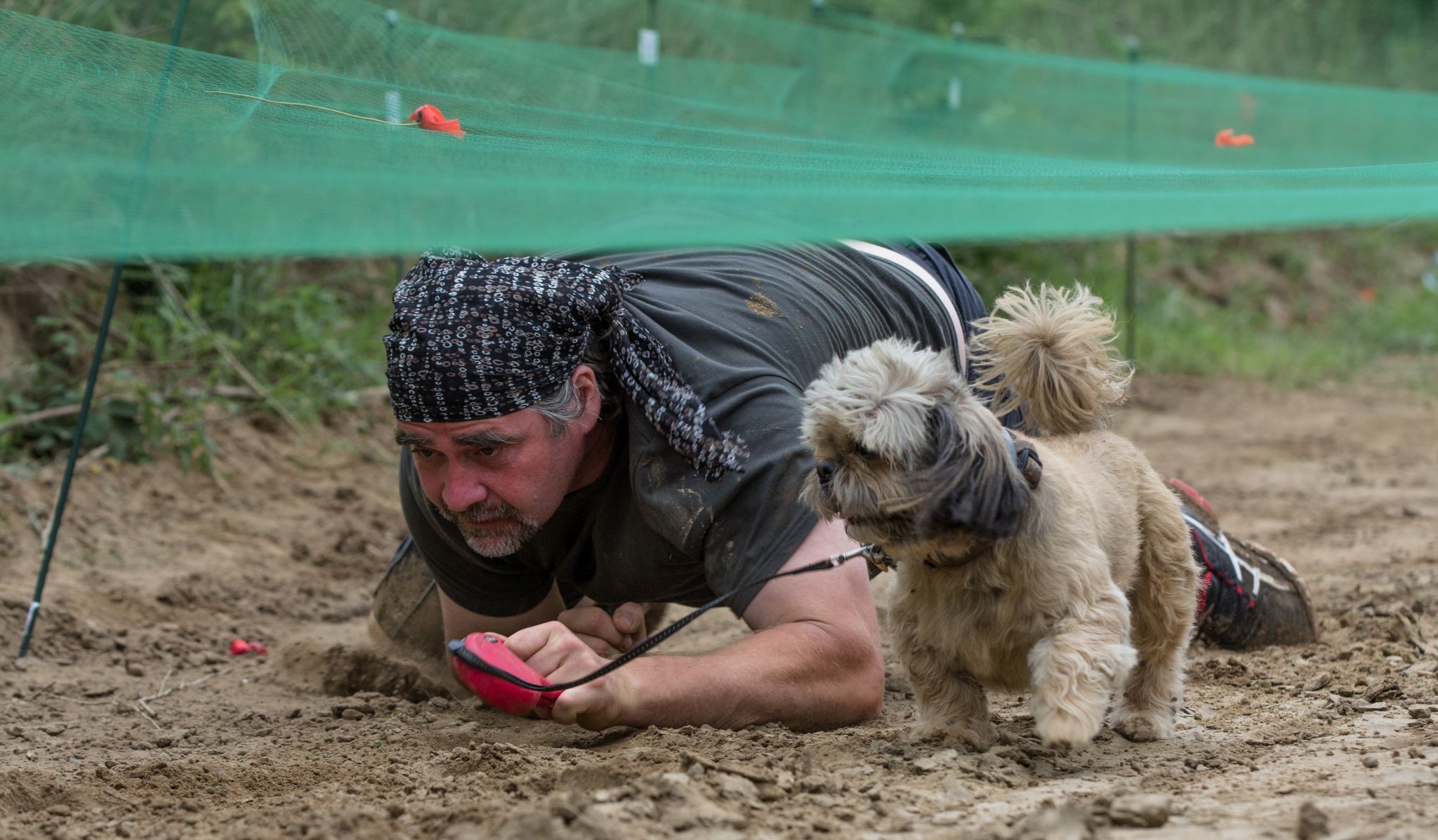 Hard Dog Race 2016 - A legkisebb kutyák is részt vehetnek!