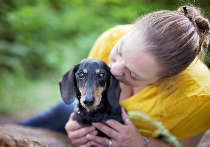 A demenciával küzdő kutya különleges gondozást igényel - legyünk iránta türelemmel és szeretettel