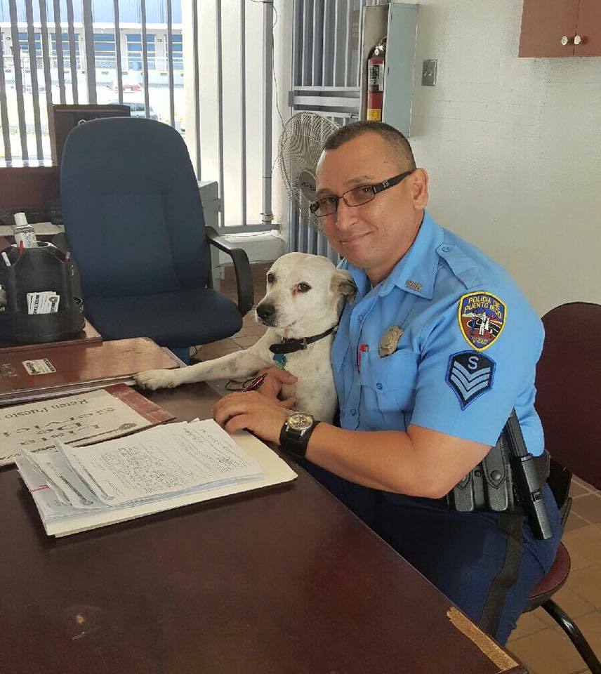 Kutya a rendőrkapitányságon: csökkenti a stresszt, feldobja a napot