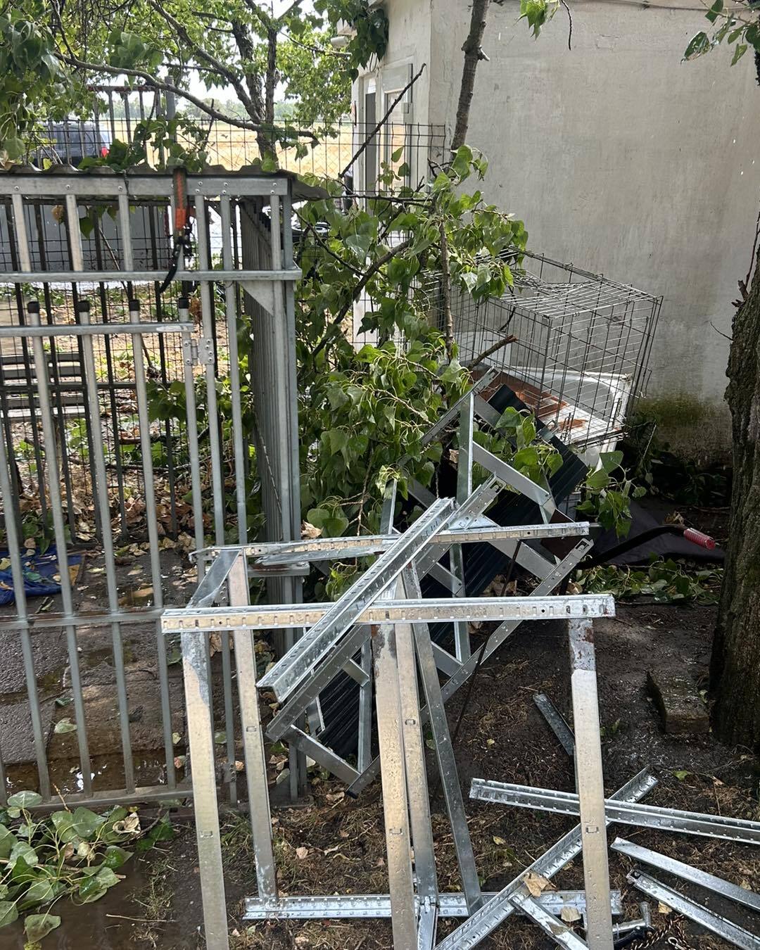 Felkapott a szél egy kennelt a benne élő kutyával Felkapott a szél egy kennelt a benne élő kutyával
