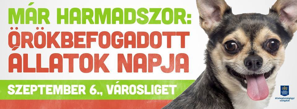  3. Örökbefogadott Állatok Napja