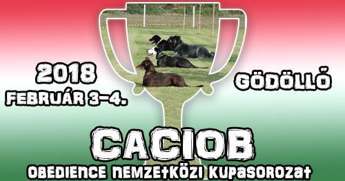 Caciob - Obedience Nemzetközi Kupasorozat 2018