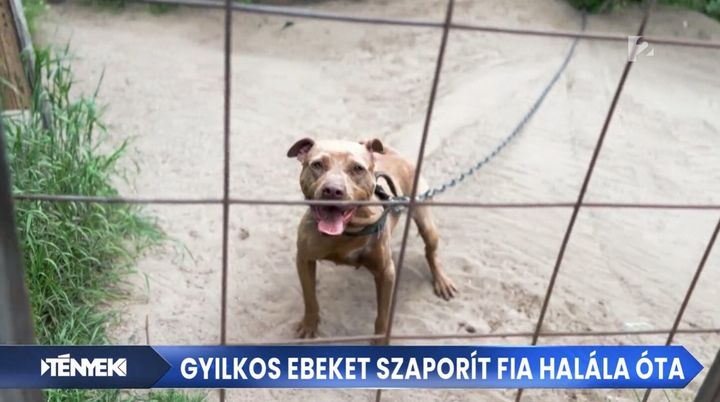 monorierdő szaporítótelep
