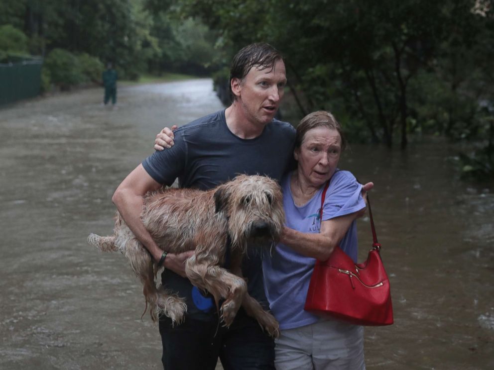 Harvey hurrikán - A férfi az idős asszony kutyáját viszi