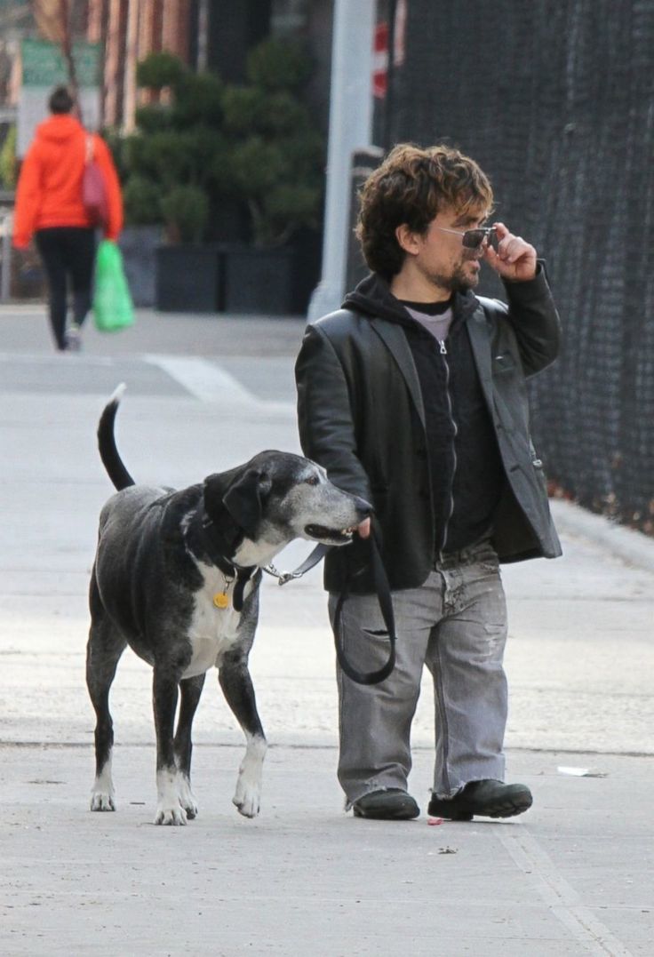 Peter Dinklage és Kevin - a kutyát menhelyről fogadta örökbe a színész