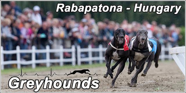 Continental Derby 2015