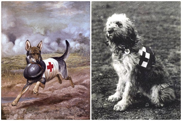 Korabeli festmény egy sisakot cipelő kutyáról - Vöröskeresztes kutya