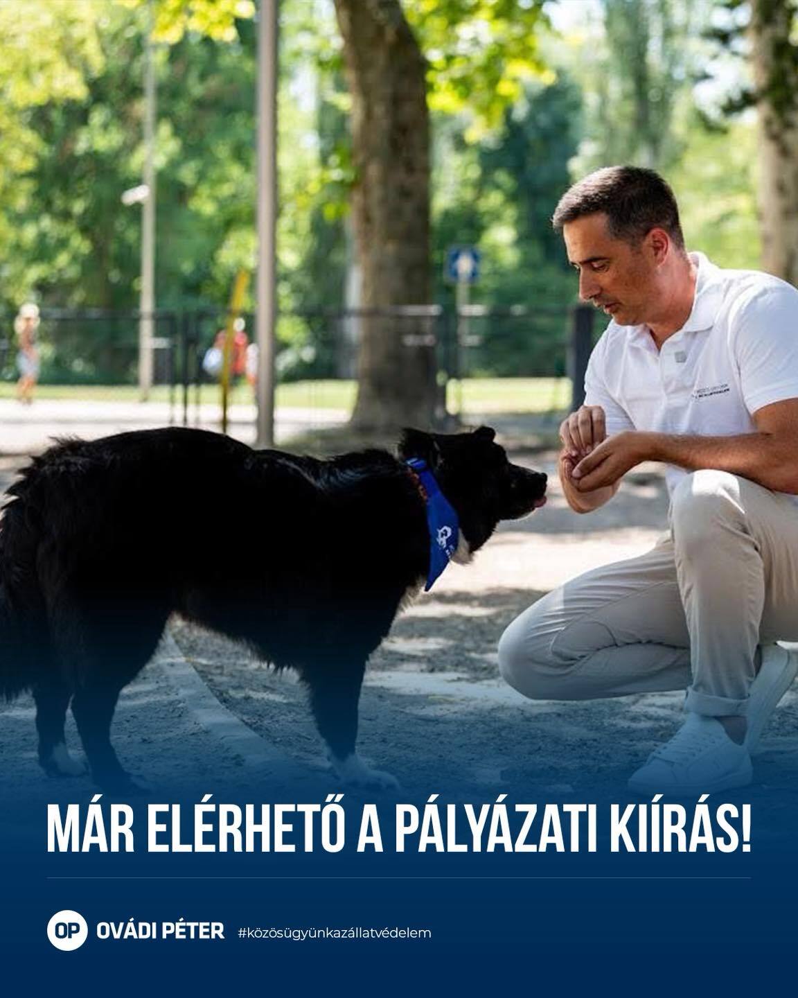 Már elérhető a pályázati kiírás a Magyar Falu Program honlapján Már elérhető a pályázati kiírás a Magyar Falu Program honlapján