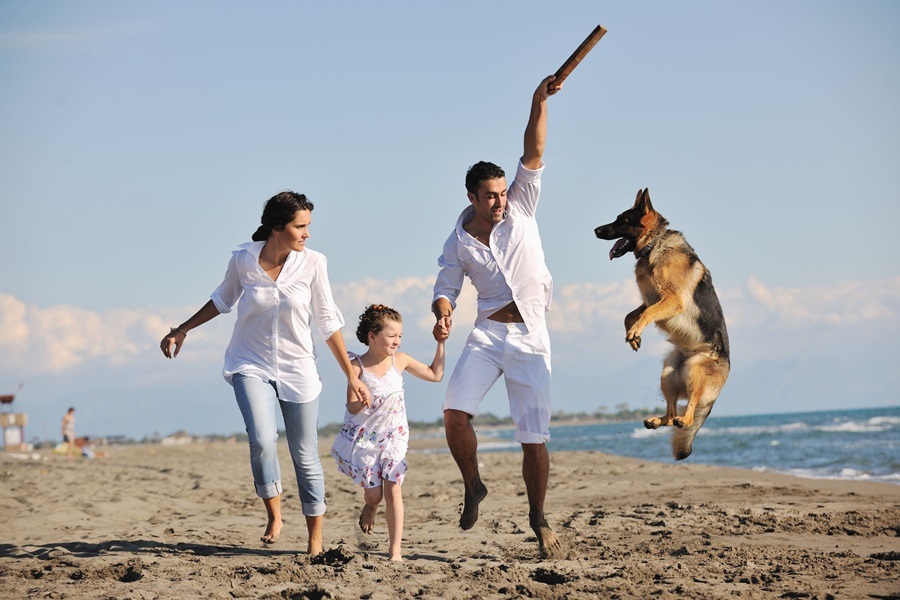 A kutya a család életét is teljesebbé teszi