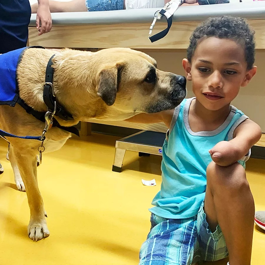 Még a bátortalanabb gyerekek is felengednek a terápiás kutya mellett