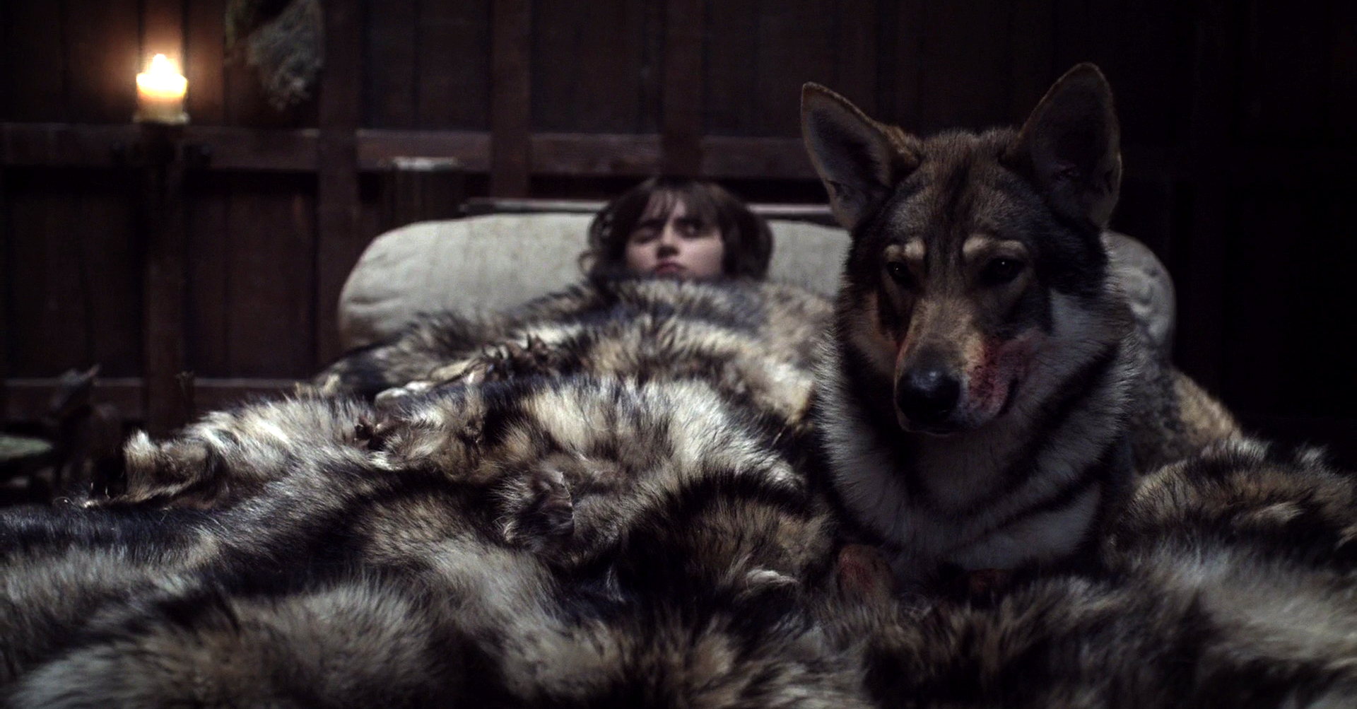 Summert az Odin névre hallgató északi inuit kutya alakította a Trónok harcában