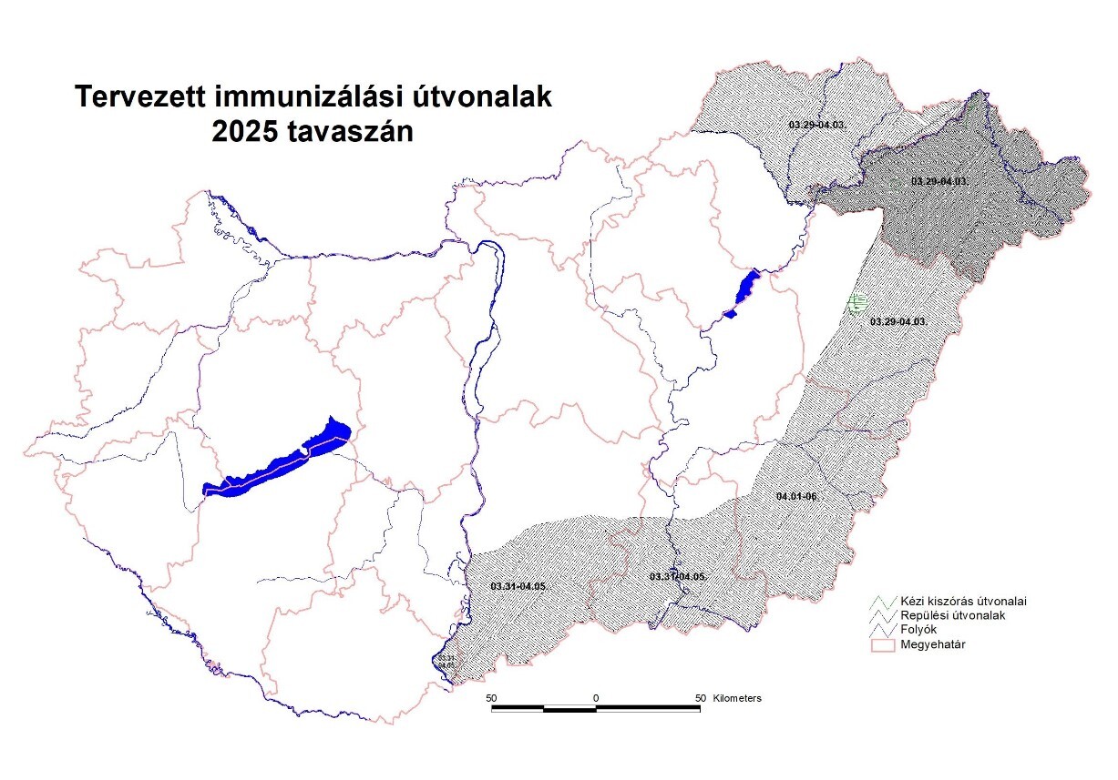 immunizálási útvonalak