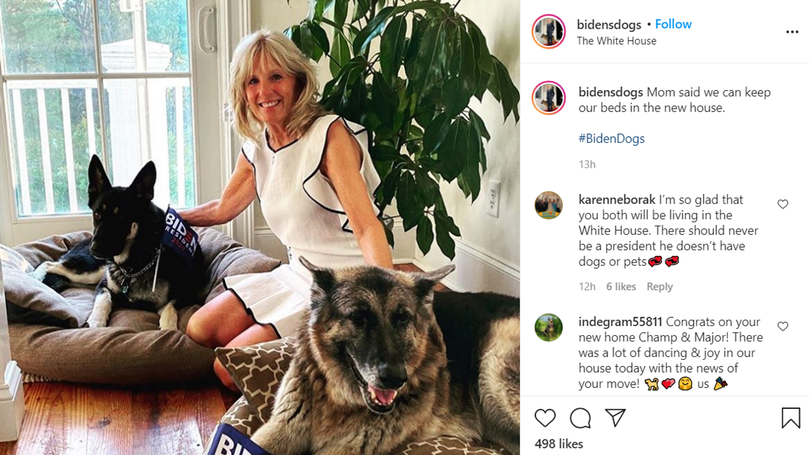 A Biden-kutyáknak saját Instagram oldala is van